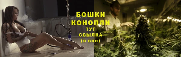 крисы Липки
