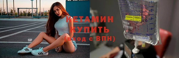 крисы Липки
