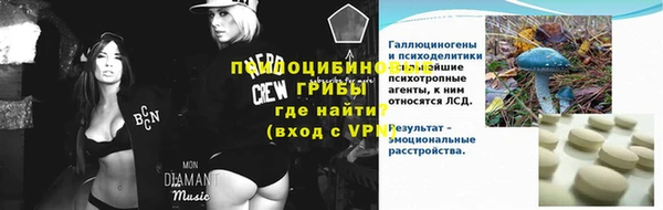 крисы Липки