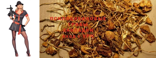 метадон Лихославль