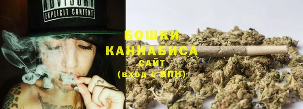 крисы Липки